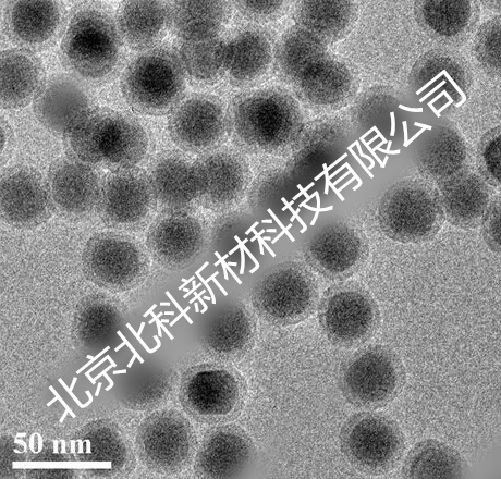 PEG�������D�Q�{���w�������t��⣩